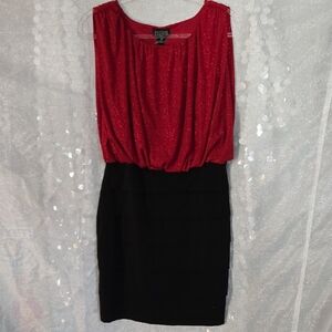 Enfocus Studio Red and Black Dress